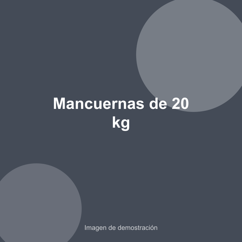 Mancuernas de 20 kg